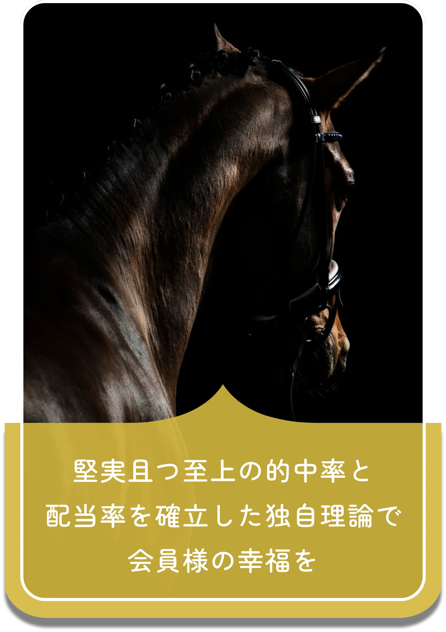 堅実且つ至上の的中率と配当率を確立した独自理論で会員様の幸福を